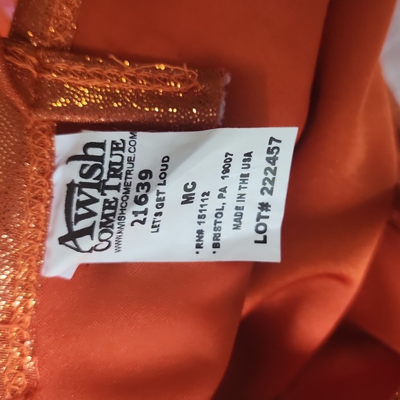 Dance Costume - Picture 6 of 6